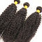 Уньпросессед вьющиеся волосы девственницы 100 связывает естественную линию волос никакой линять поставщик