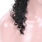 Парики человеческих волос подлинного фронта шнурка естественные отсутствие синтетического обслуживания ОЭМ волос поставщик