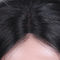 Чистые парики шнурка волос девственницы/парики шнурка передние для шелка чернокожих женщин прямо поставщик
