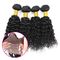 Веаве курчавых человеческих волос Ремы малайзийца девственницы 8А глубокий отсутствие синтетических волос поставщик