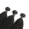 Ранг Кинкы расширения вьющиеся волосы Ремы младенца 9А 3 пачки сырцовых человеческих волос поставщик